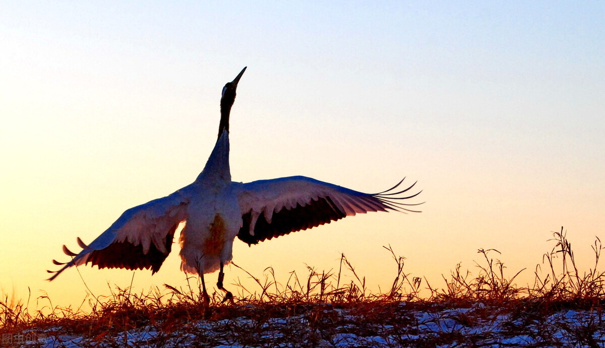 江苏男子当街殴打母亲,男子当街殴打妈妈