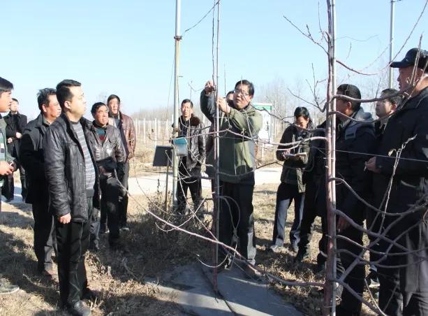 新时代文明实践志愿服务项目库,新时代文明实践志愿服务项目大赛