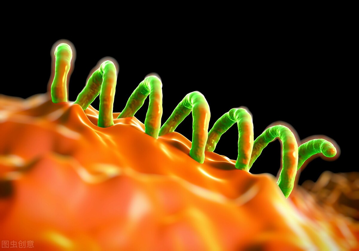 尖锐性湿疣和梅毒艾滋病哪个严重,尖锐湿疣和梅毒艾滋病有什么关系