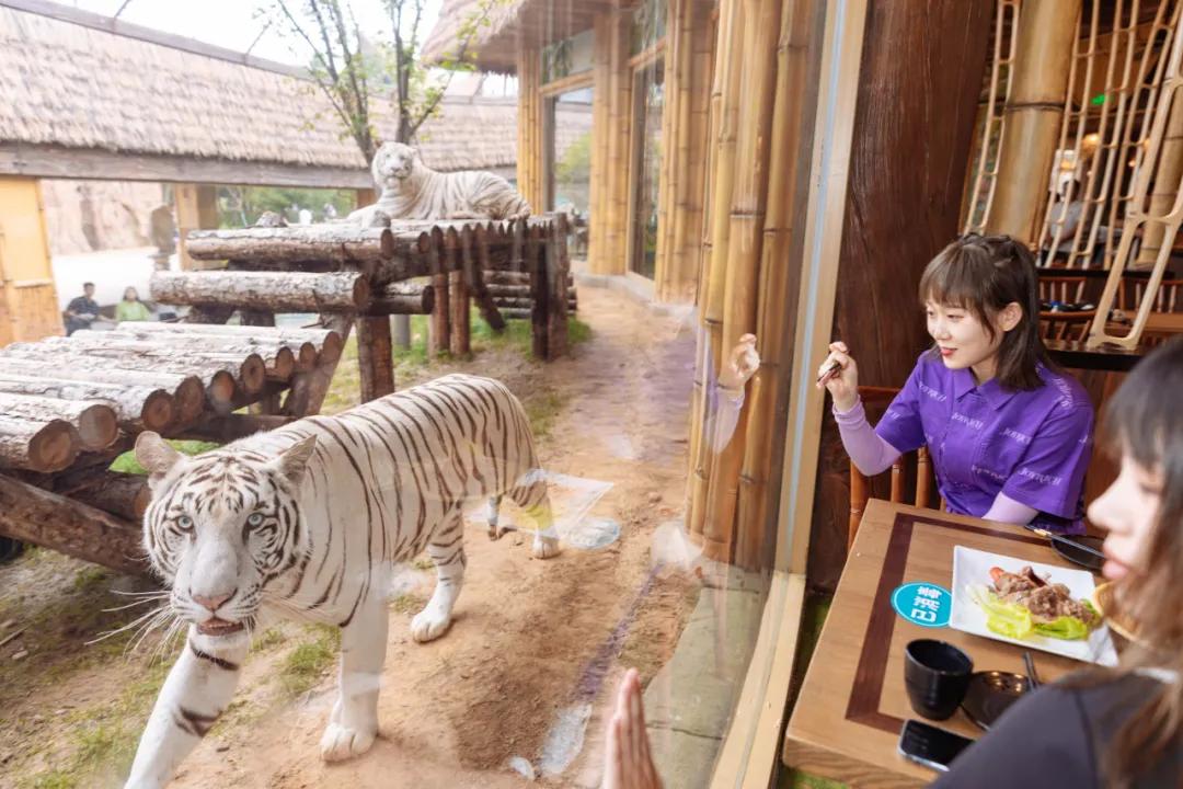 野生动物王国值不值得去,北方新开的动物王国