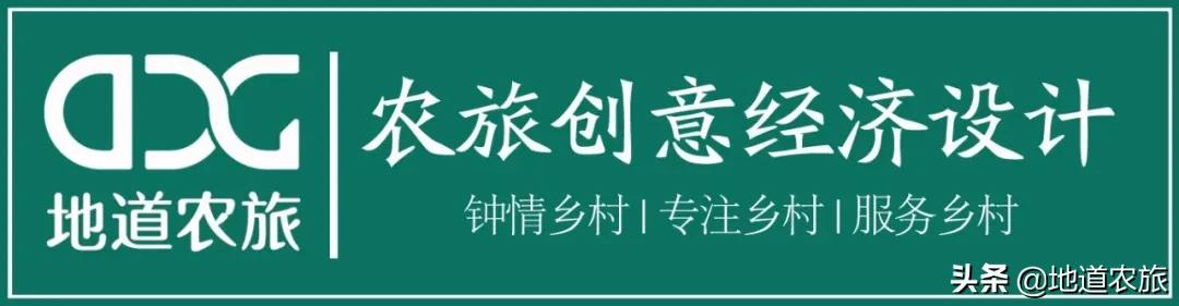 看她如何从砂砾到宝珠，实现乡村振兴，仅线上销售就达20亿