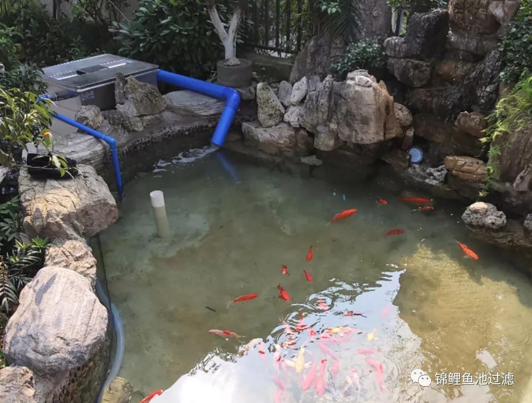 <html>
<head><title>502BadGateway</title></head>
<body>
<center><h1>502BadGateway</h1></center>
<hr><center>nginx</center>
</body>
</html>
<!--apaddingtodisableMSIEandChromefriendlyerrorpage-->
<!--apaddingtodisableMSIEandChromefriendlyerrorpage-->
<!--apaddingtodisableMSIEandChromefriendlyerrorpage-->
<!--apaddingtodisableMSIEandChromefriendlyerrorpage-->
<!--apaddingtodisableMSIEandChromefriendlyerrorpage-->
<!--apaddingtodisableMSIEandChromefriendlyerrorpage-->
