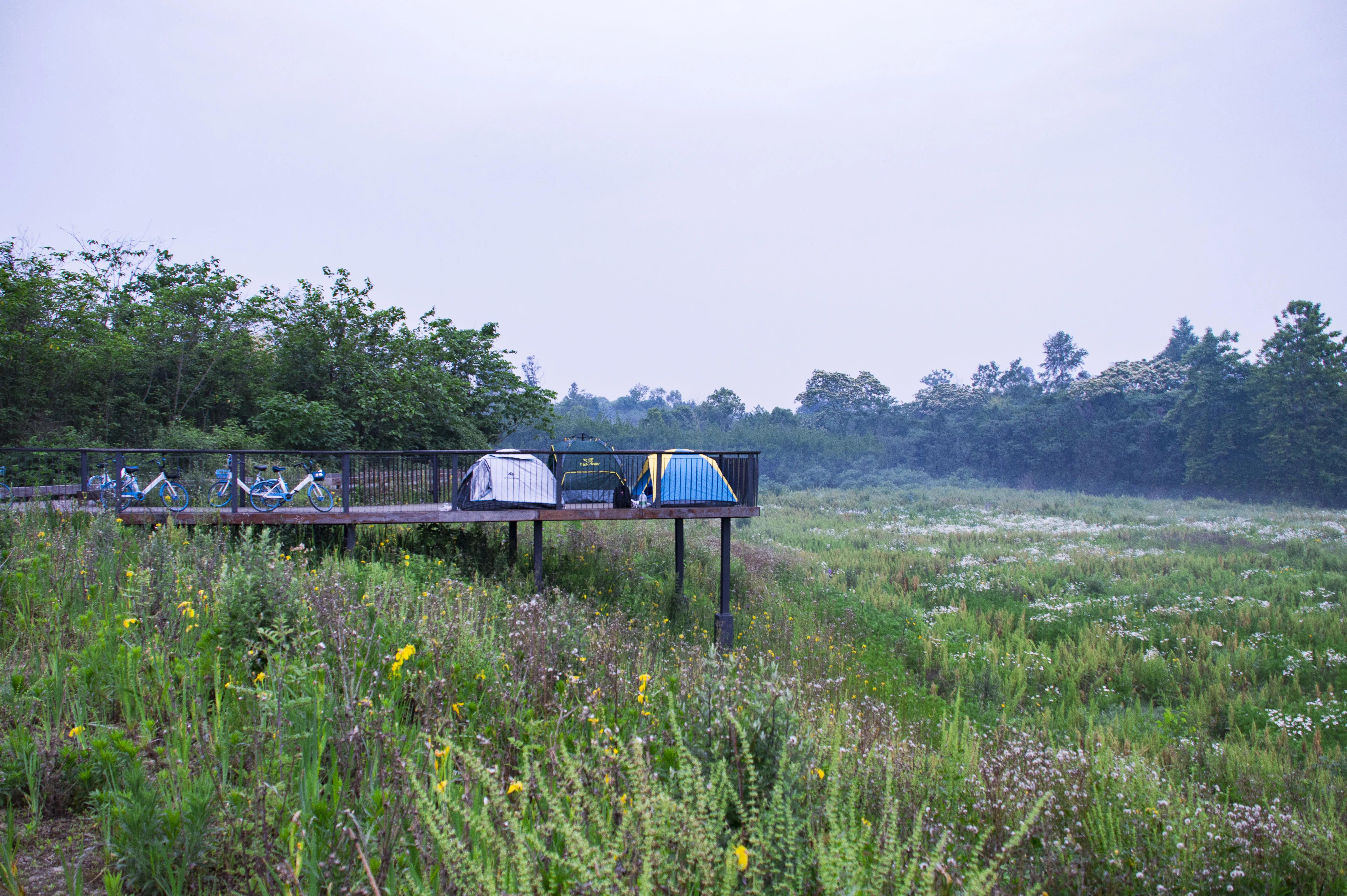 龙泉十陵航拍,龙泉驿区十陵