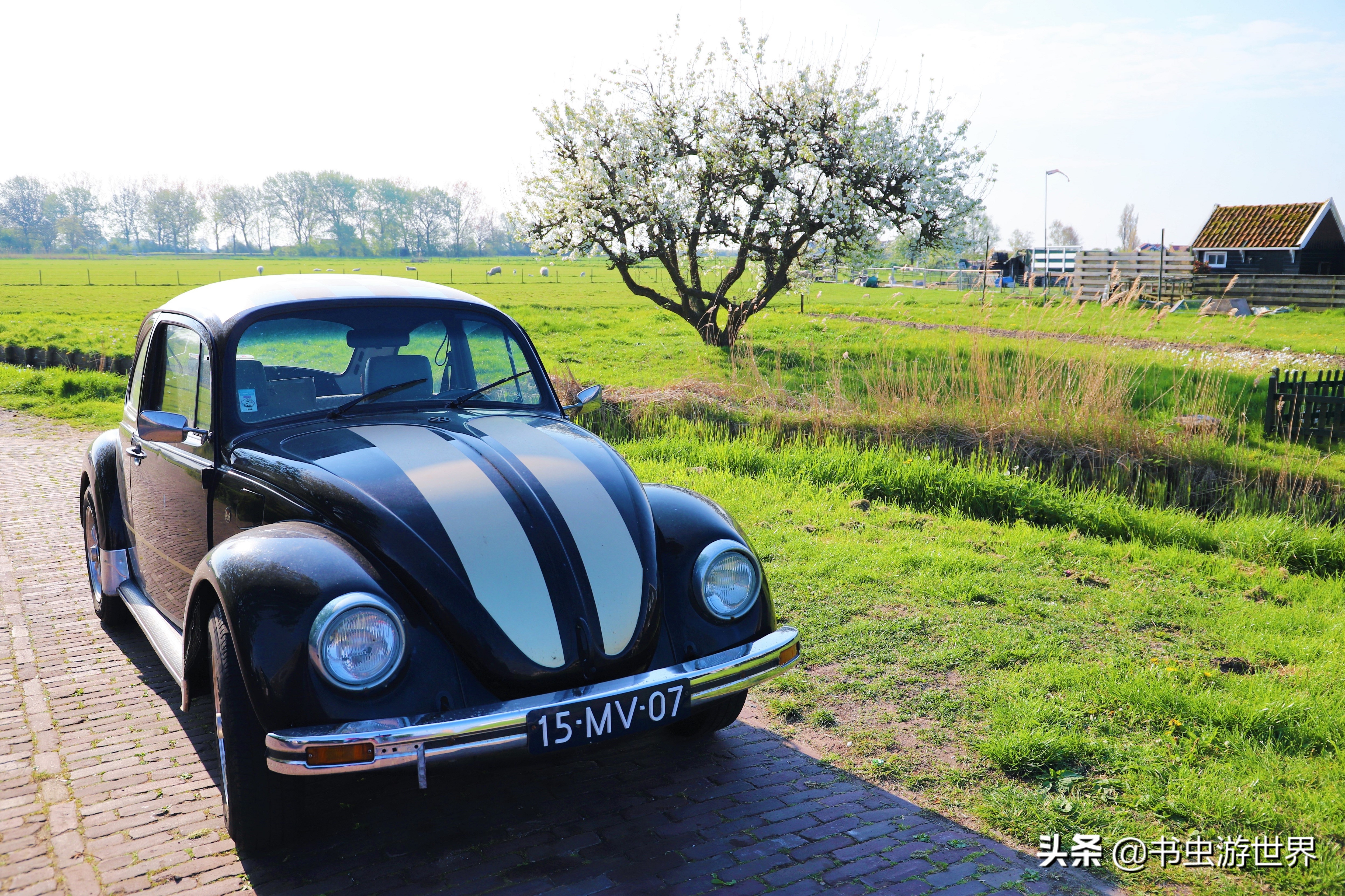 红顶小木屋,红顶绿墙小木屋