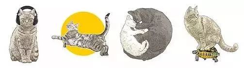 一般的猫屎咖啡,什么叫做猫屎咖啡