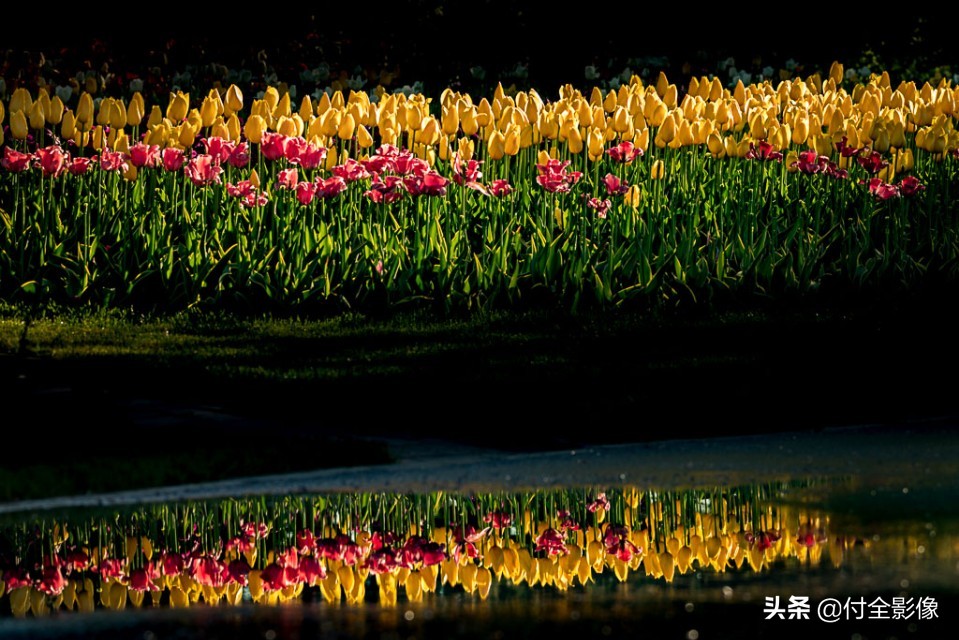 北京国际鲜花港门票优惠,北京国际鲜花港夏天