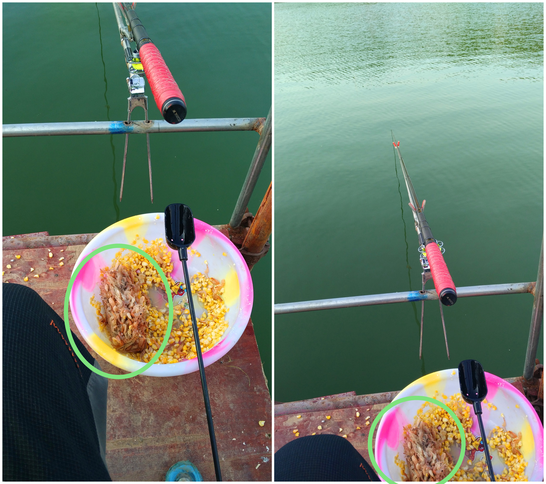 草鱼窝料水库,夏季专攻草鱼的窝料