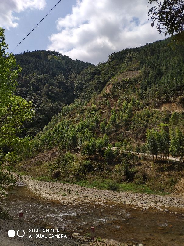 物是人非事事休,物是人非事事休完整版