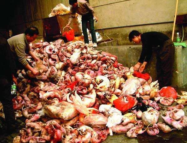 韩国寄生虫最新消息,寄生虫韩国结局