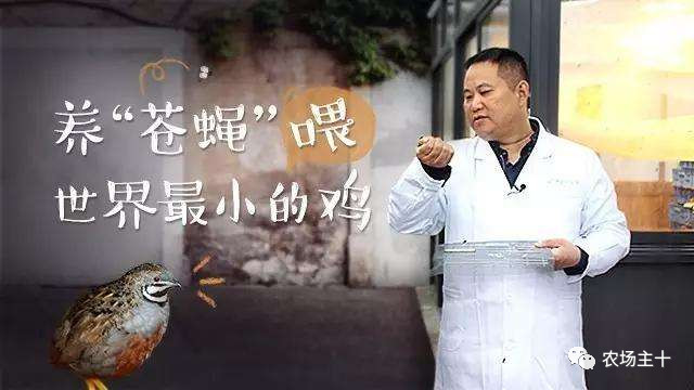 从沿街乞讨到身家亿万，“特养教父”32年的农业路堪称一部传奇史