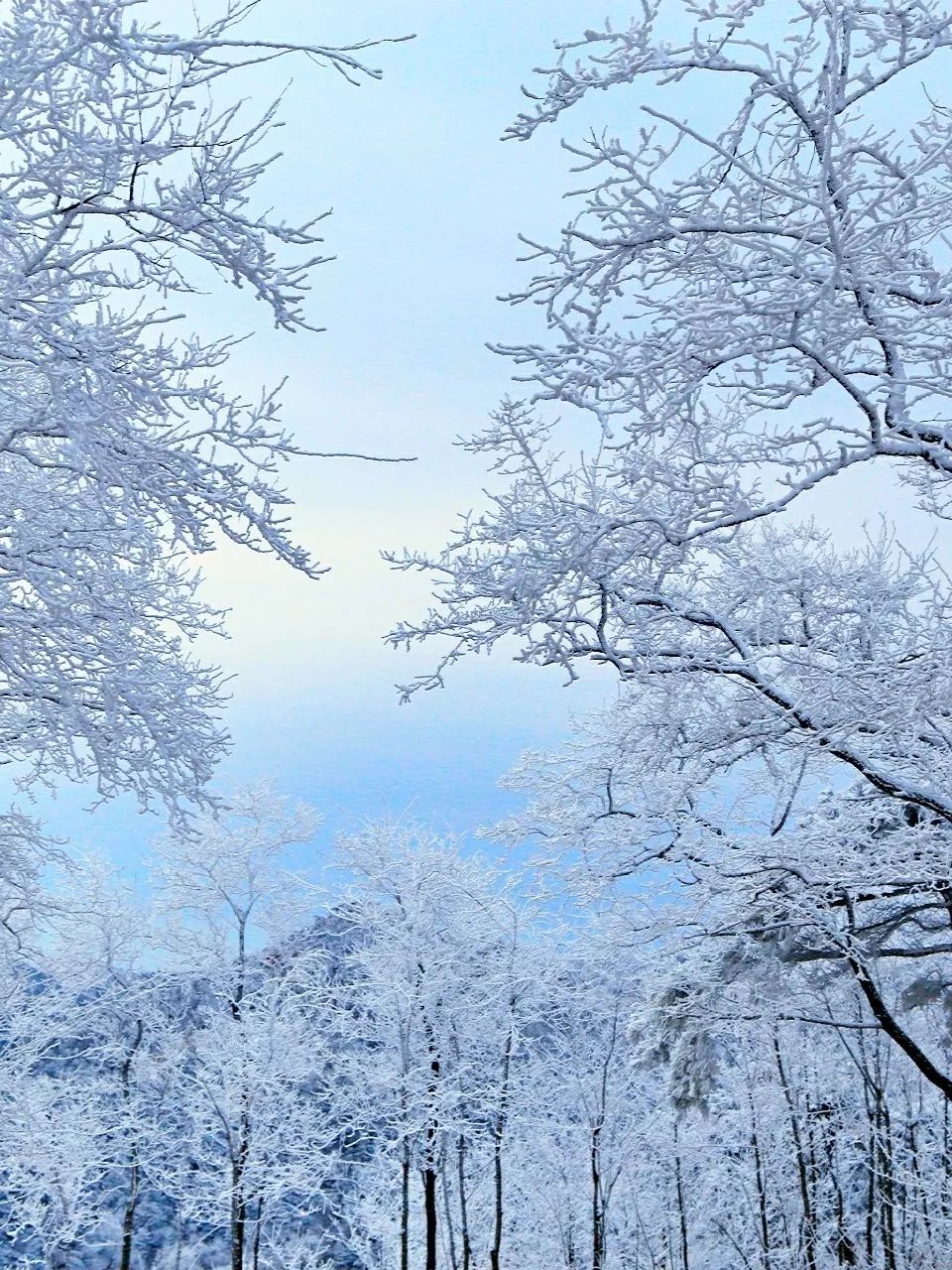 赏雪何须去北国,赏梦幻雾凇耍雪的绝佳去处