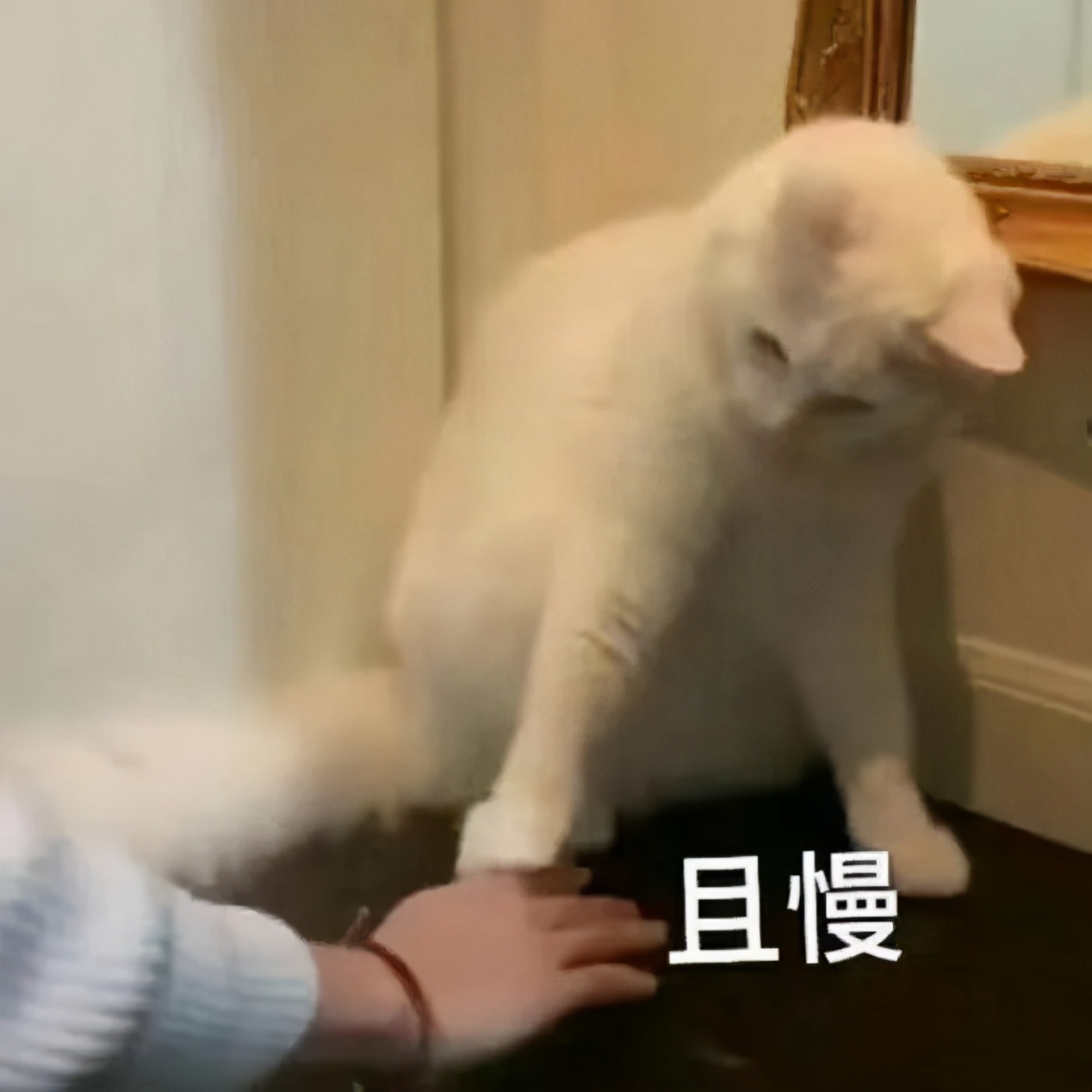 舔雪糕粘舌头原理,舌头粘在雪糕上