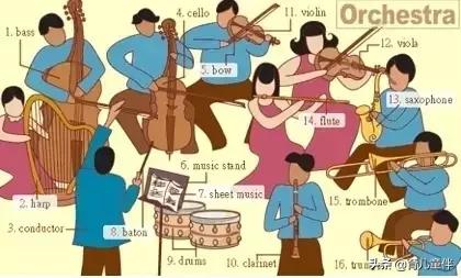 34张图让孩子记住英语中所有生活用词！老师惊呼，太值了