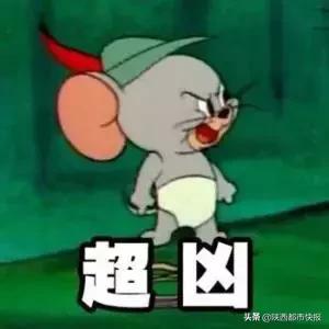 家里突然冒出这东西，西安一女子凌晨起夜被抓伤！医生：一旦发病死亡率很高