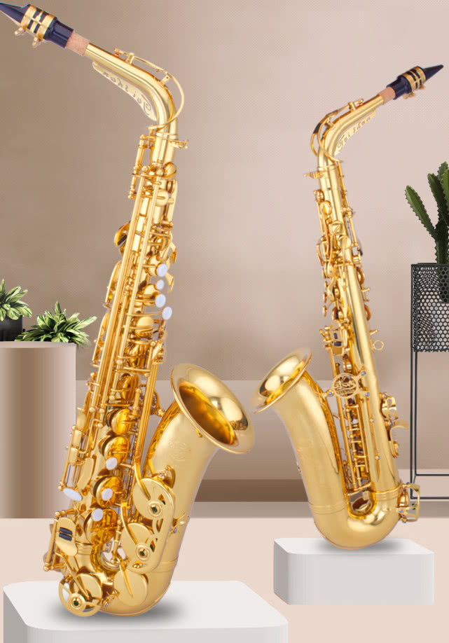 初学萨克斯乐器,乐器初学者适合学什么萨克斯