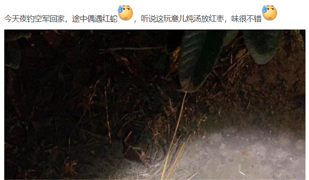 文能提笔安天下武能握枪保家国,文能提笔安天下武能挥刀治国家