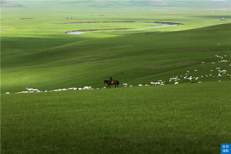 带你看美丽的呼伦贝尔大草原,呼伦贝尔大草原欣赏