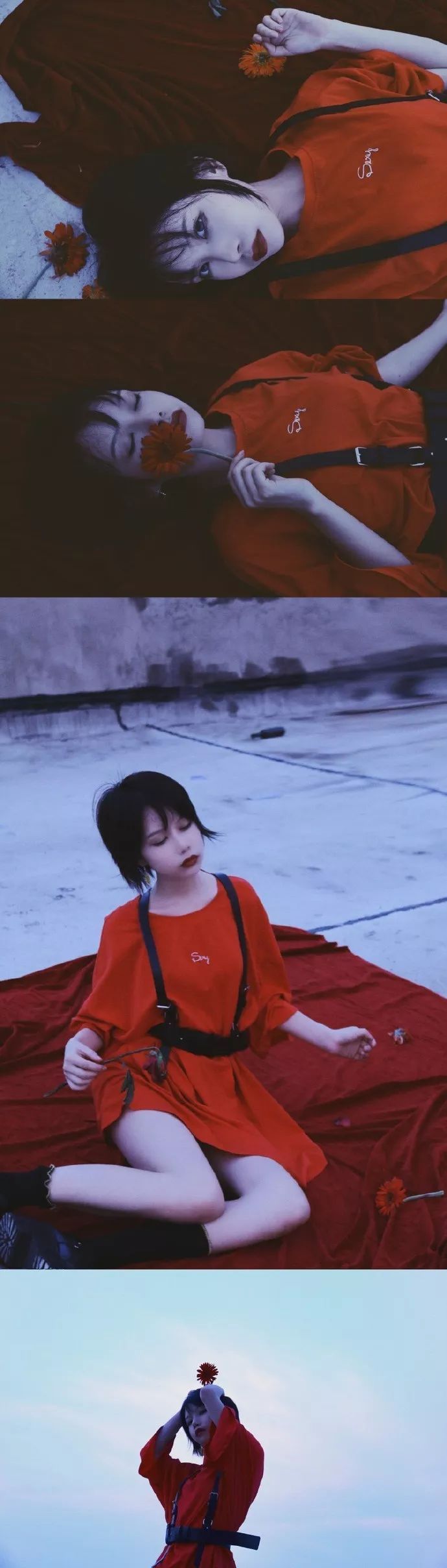 我是一条爱游泳的小金鱼,我是一条不会游泳的鱼