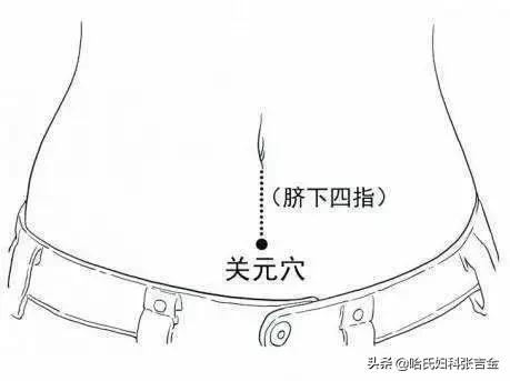 卵巢囊肿中医能调理,卵巢囊肿中医能消除吗
