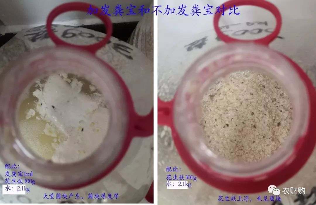 发酵好的酵素怎么样施肥,酵素肥料发酵无氧和有氧的区别