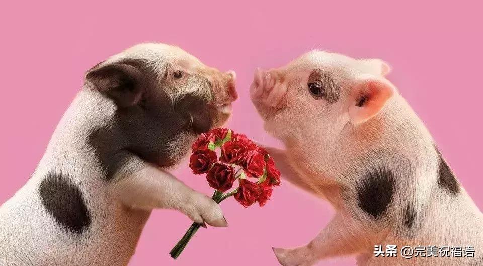 今天2.1，2月第1天，谁编的，太好笑了，给群里乐一乐~