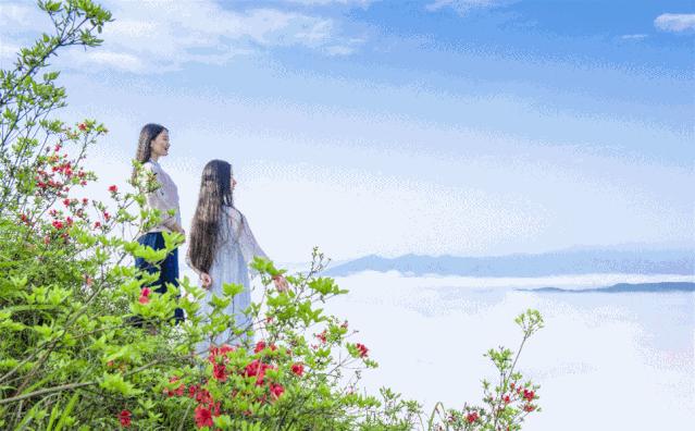 仙人街景区赏花攻略,吉尼斯打卡仙人街