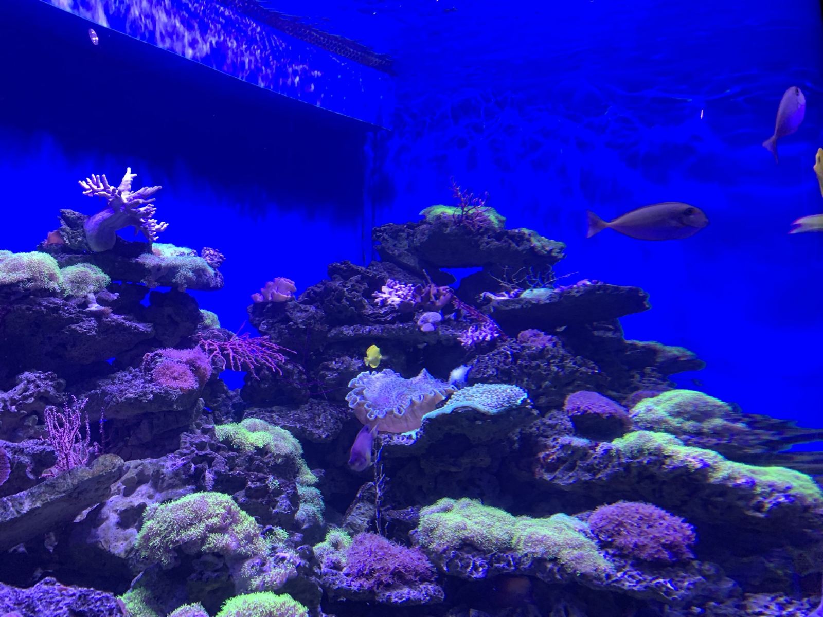 辽宁大连推荐旅游景点,辽宁大连旅游必去景点