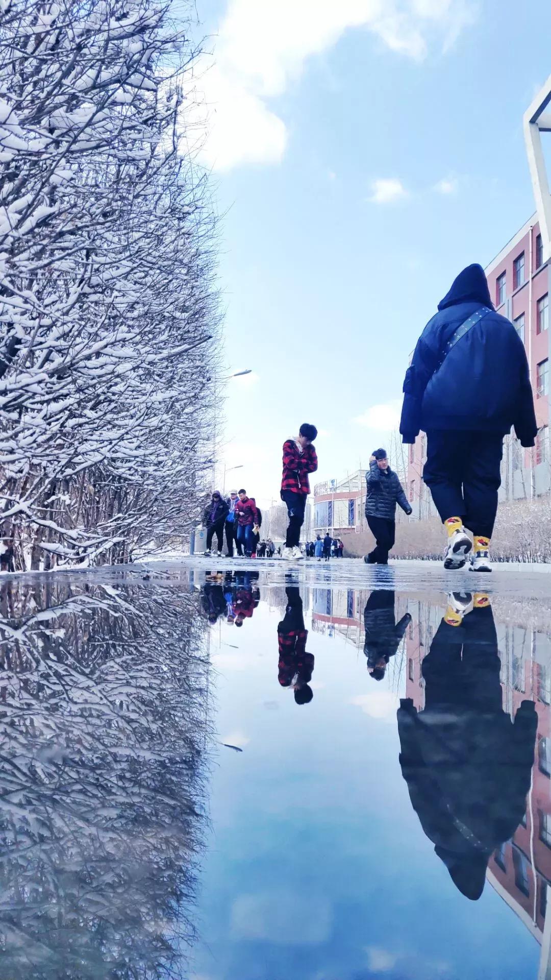 辽宁中医药大学杏林学院规模,辽宁中医学院杏林学院的排名