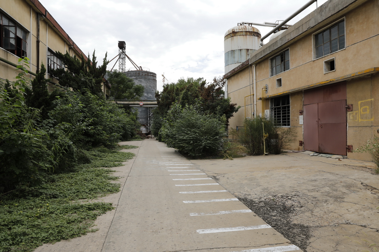 武汉东西湖产的雪花啤酒,东西湖雪花啤酒厂2015年