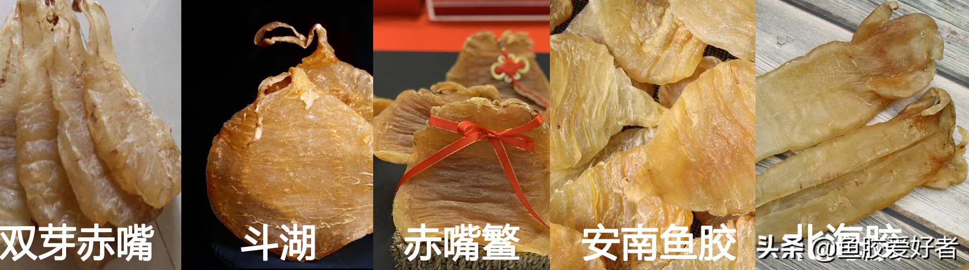 顶级鱼胶为什么那么贵,为什么鱼胶要那么贵