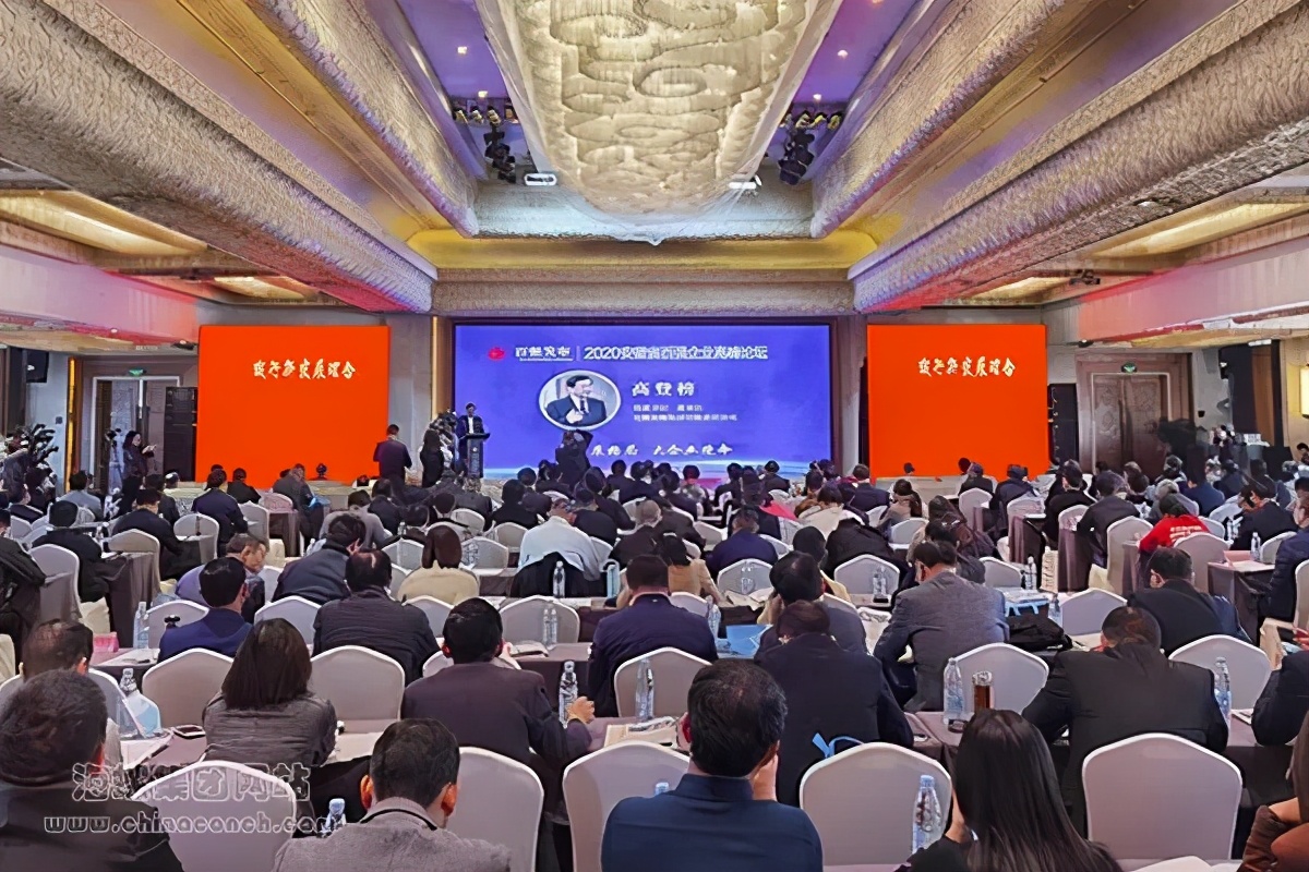 安徽省海螺集团有限责任公司,海螺集团在安徽省什么水平