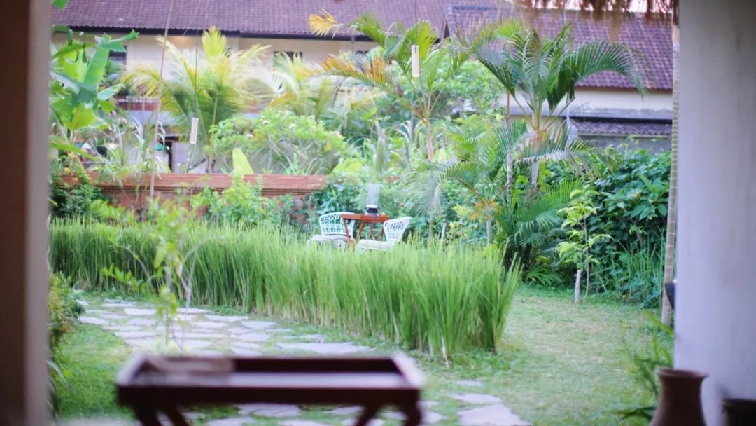 此生必去一次巴厘岛,带你旅游巴厘岛攻略