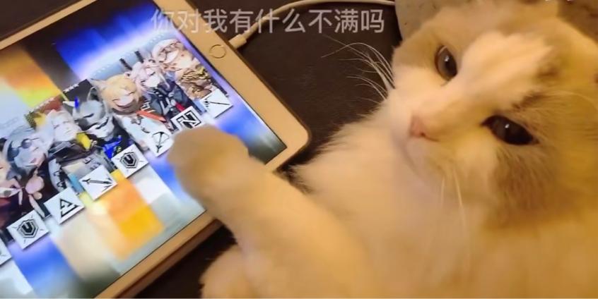 真正有用的抽卡玄学,分享抽卡玄学