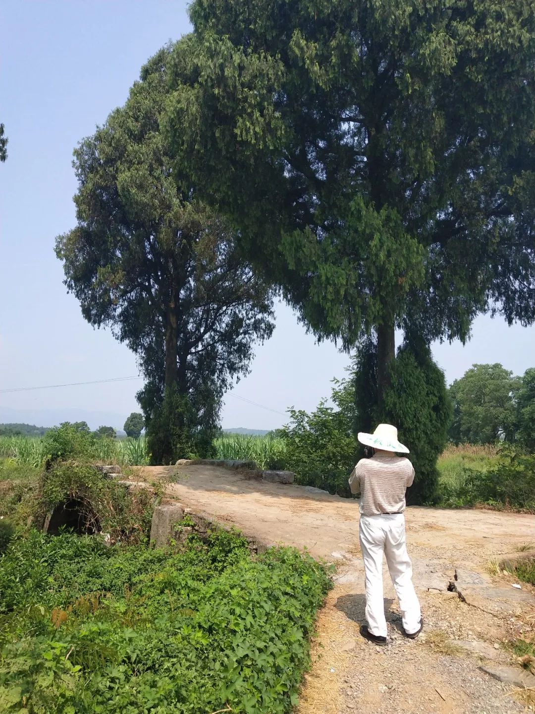 走遍广西所有乡镇,走遍广西100个县兴安县