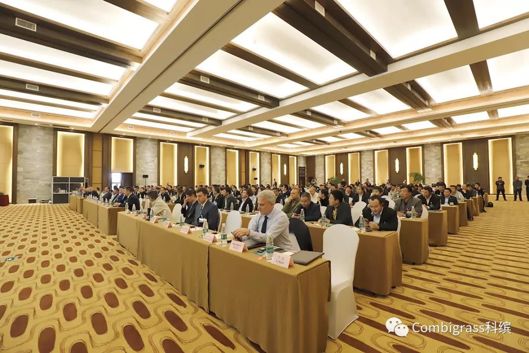 中国足协专业足球场,2022中国足协举办比赛场地