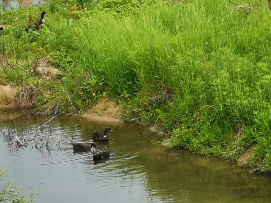 康养福地岳西,康养休闲度假旅游最佳地