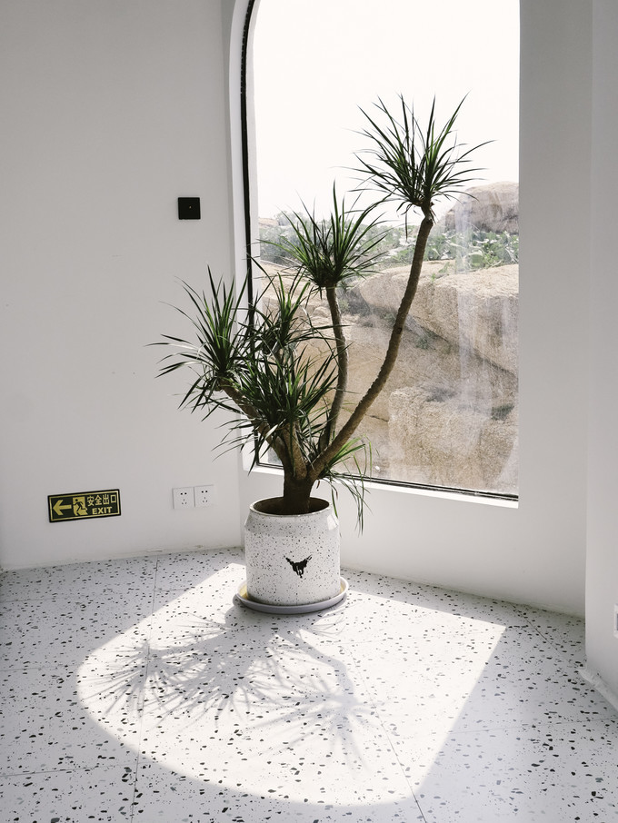 携家带口游火山岛,火山岛旅游攻略自由行包车