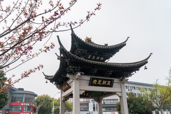 踏春赏花拍美景,踏春赏花逛湖