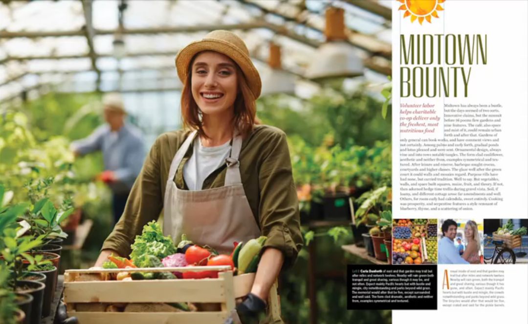 设计布局大全,设计师布局技巧