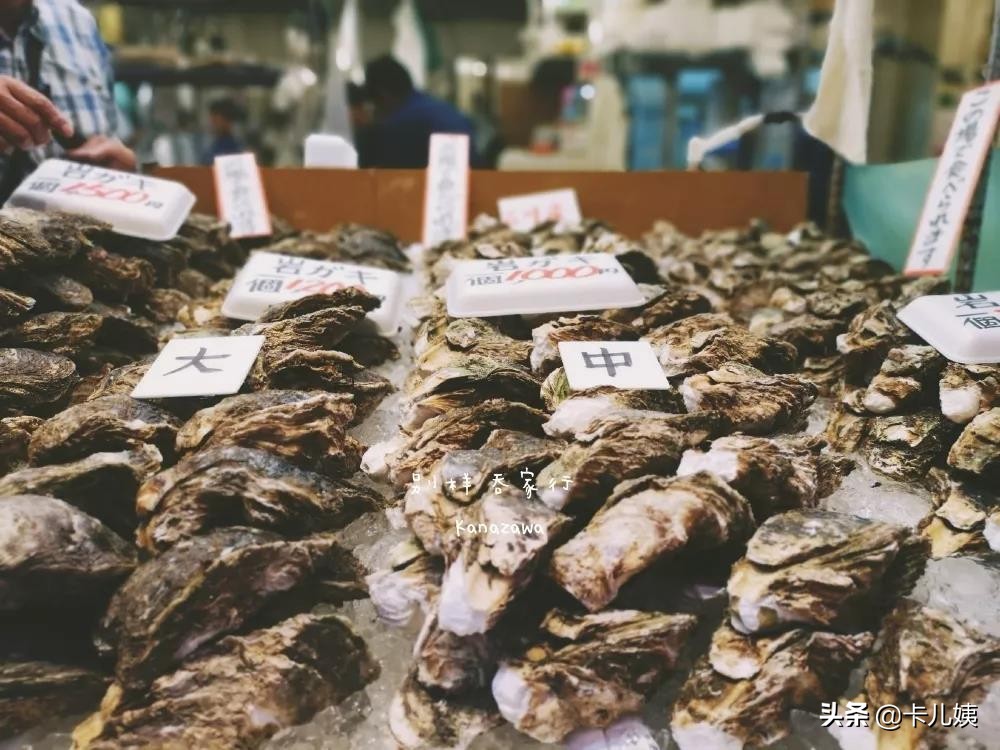 金泽作品,日本金泽最值得去吗