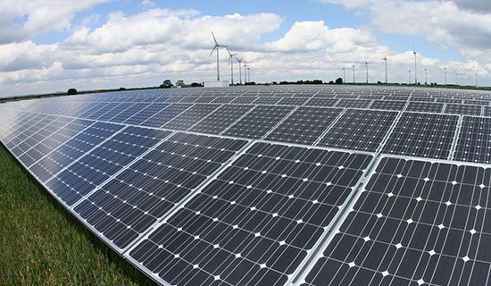 这么有钱还这么“抠”！素食43年的他究竟经历了什么？