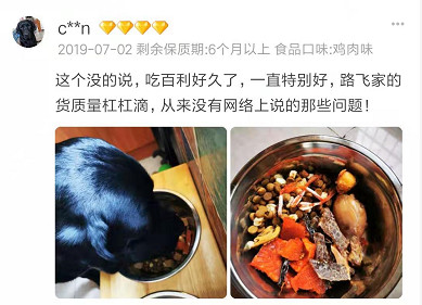 家有狗子,家有狗子视频完整版