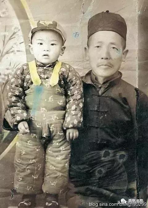 八河老槐树,柴库老槐树