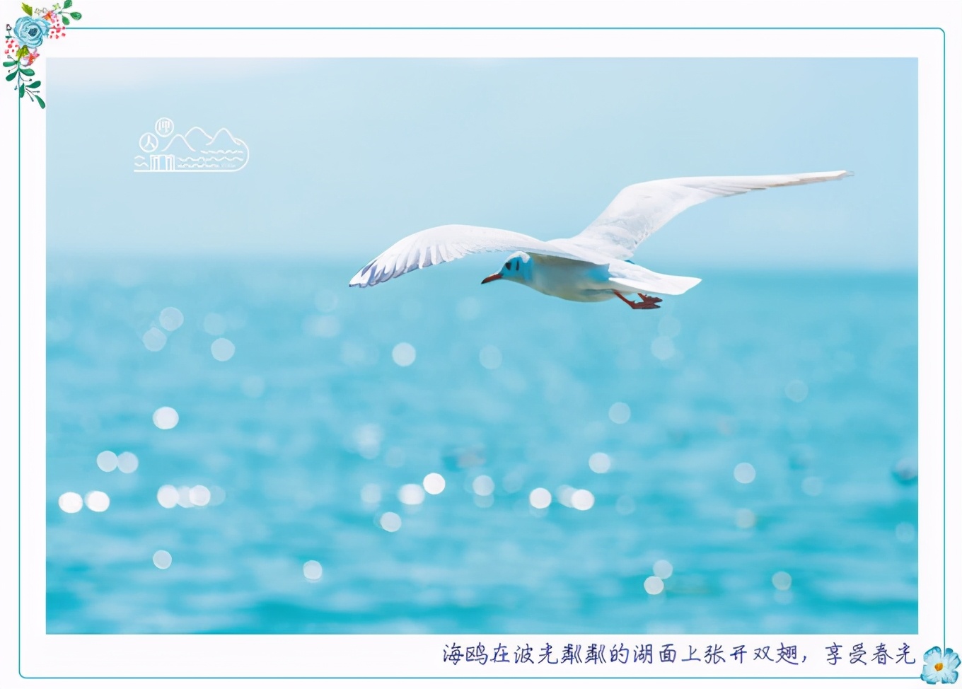 昆明旅游景点自由行攻略路线推荐,昆明旅游景点自由行攻略大全