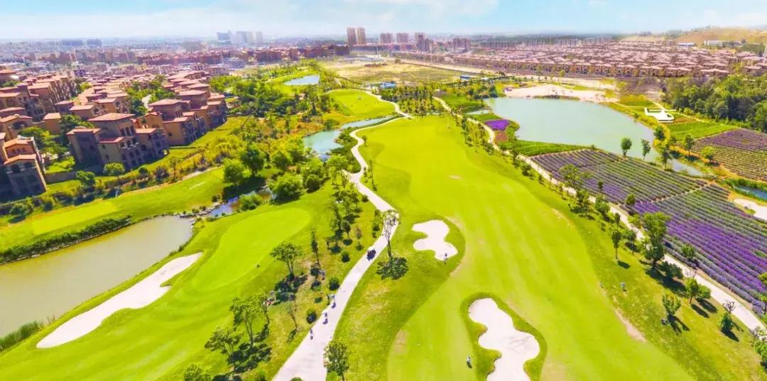 曲靖这31个景点你都去过了吗,曲靖千亩花海美景