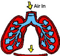 打嗝要警惕四种病嗳气,突然打嗝怎么办快速止嗝