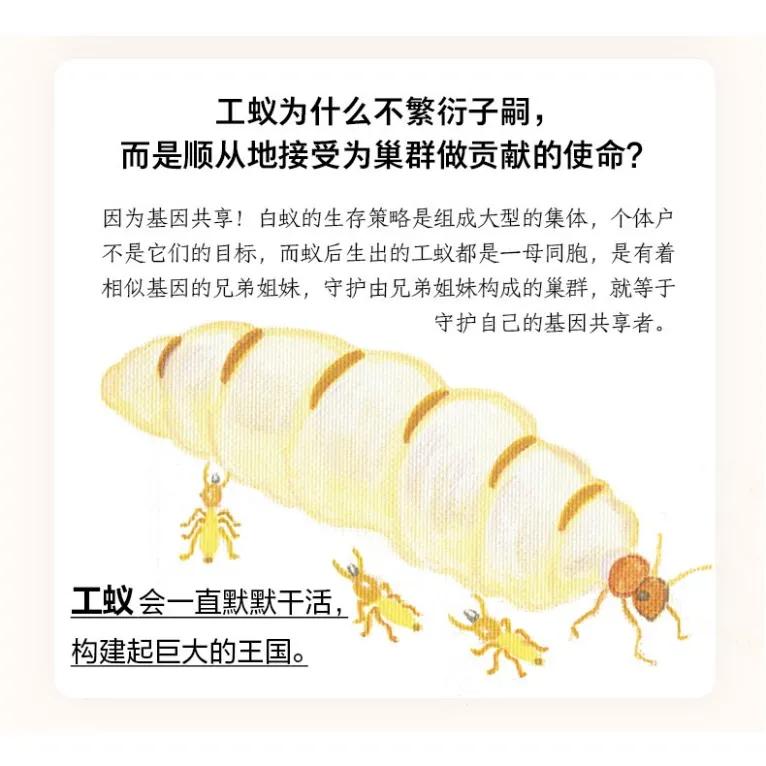 日本动物感人书籍,动物生死书