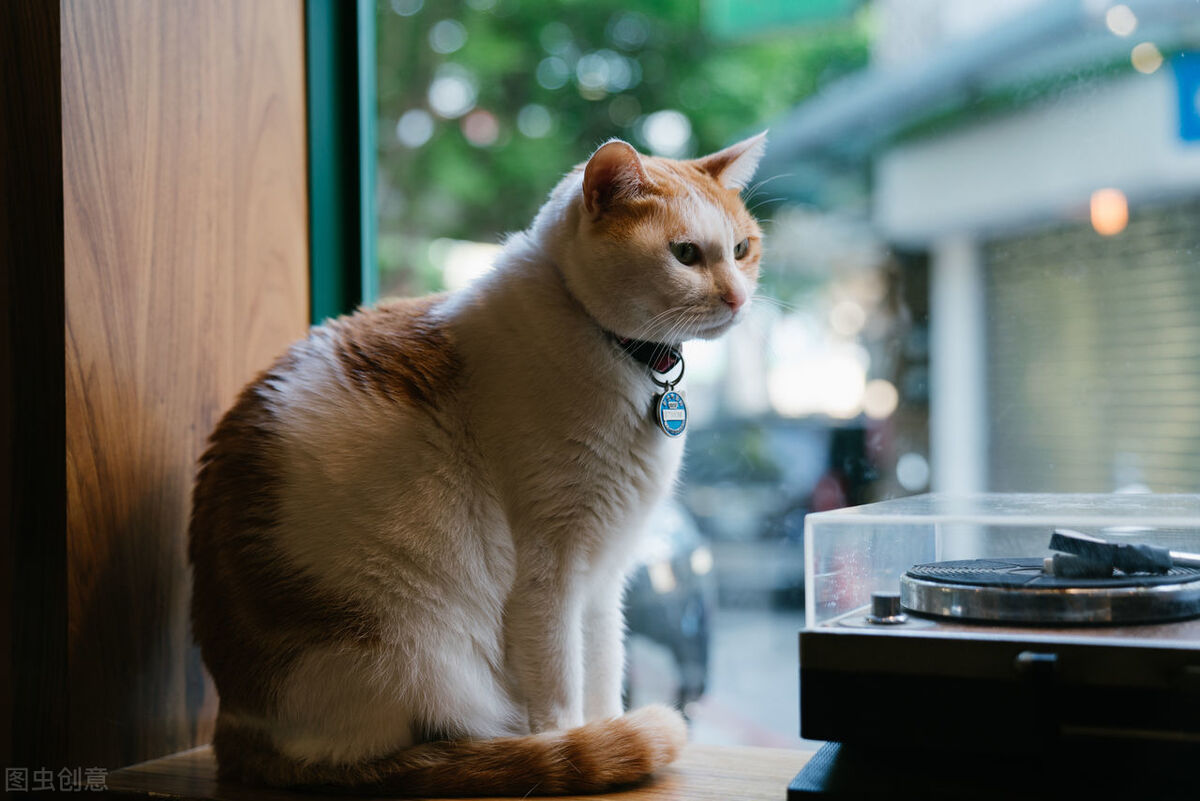 失眠导致耳鸣多久能自愈,耳鸣失眠越来越严重怎么治