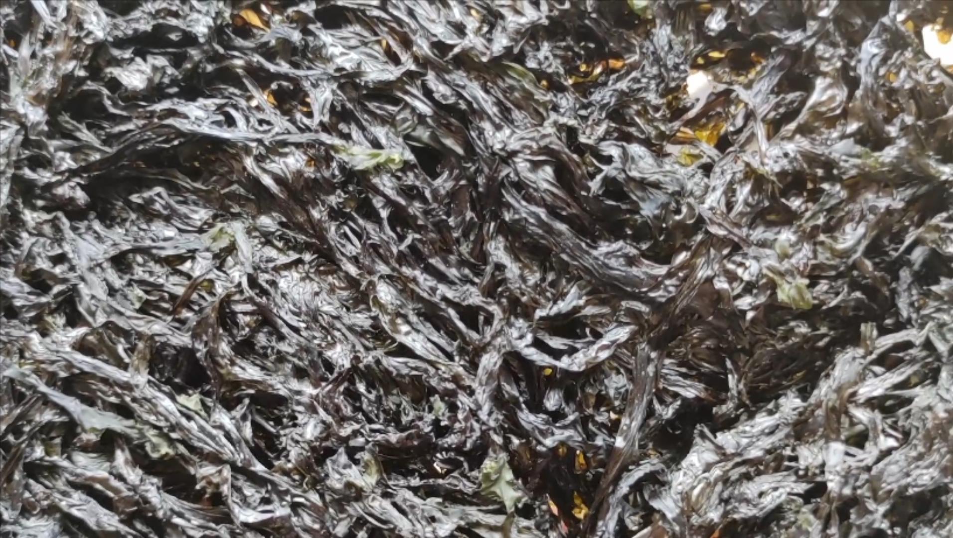 如何分辨紫菜是否有毒,紫菜真假辨别方法