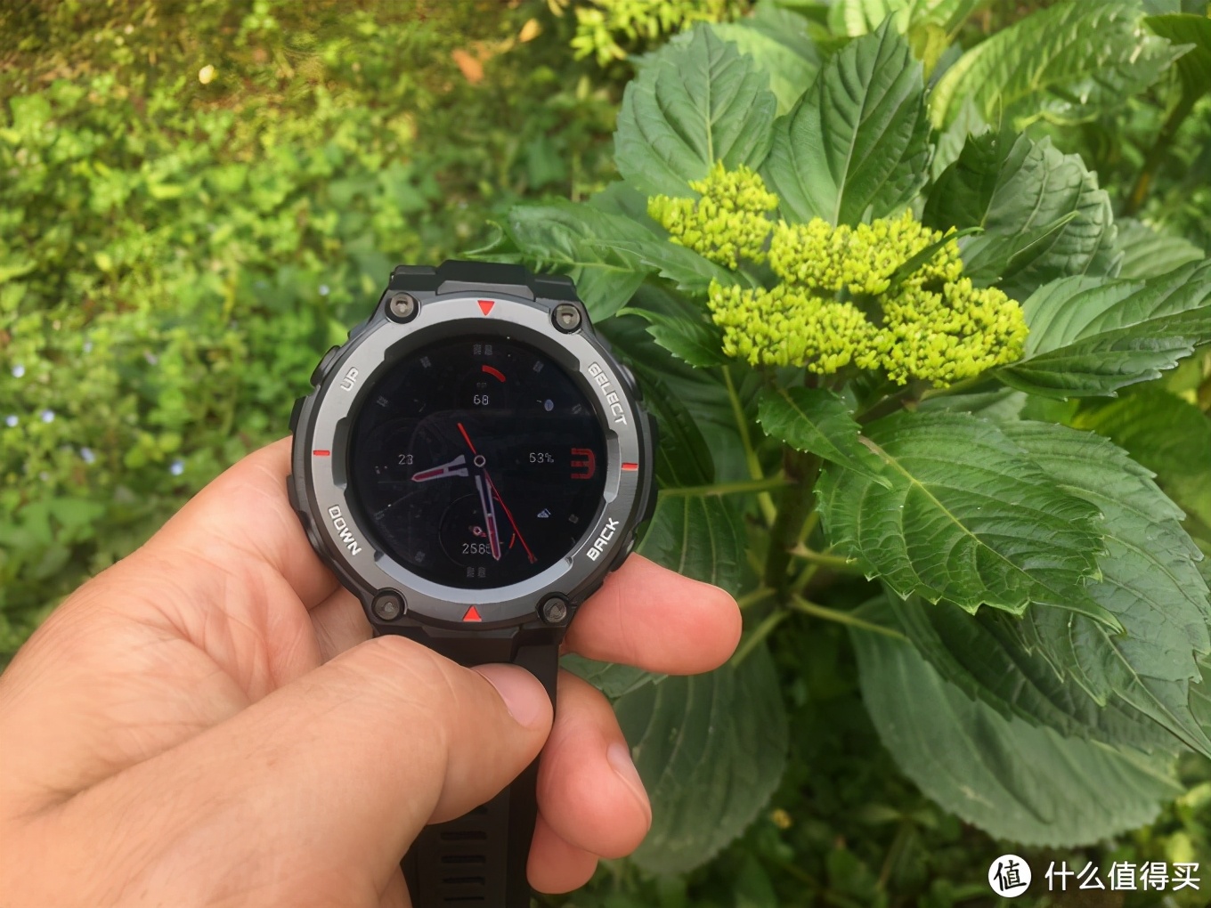 华米手表amazfitt-rex如何听音乐,华米AmazfitT-RexPro手表